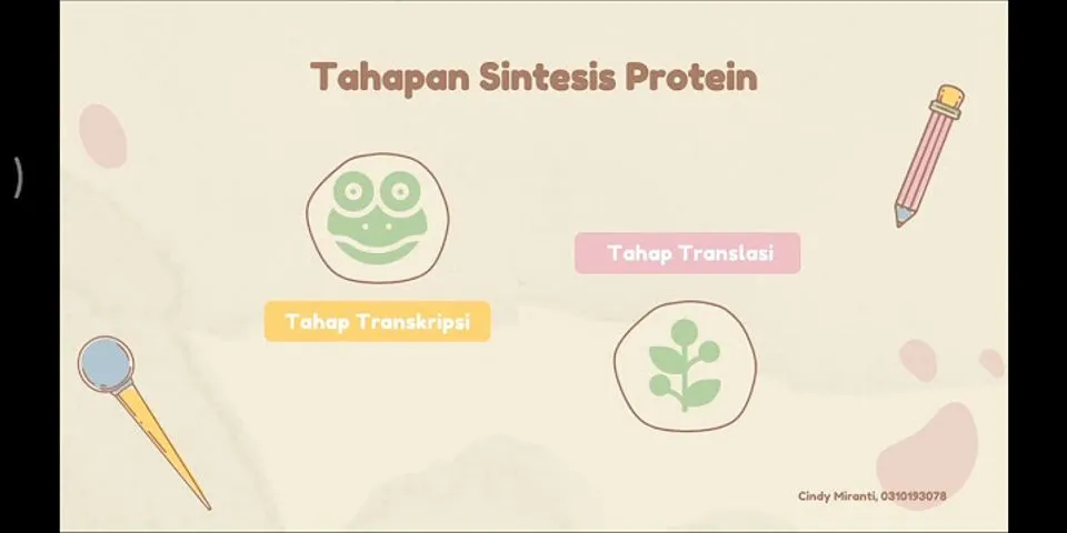 5 tahapan sintesis protein