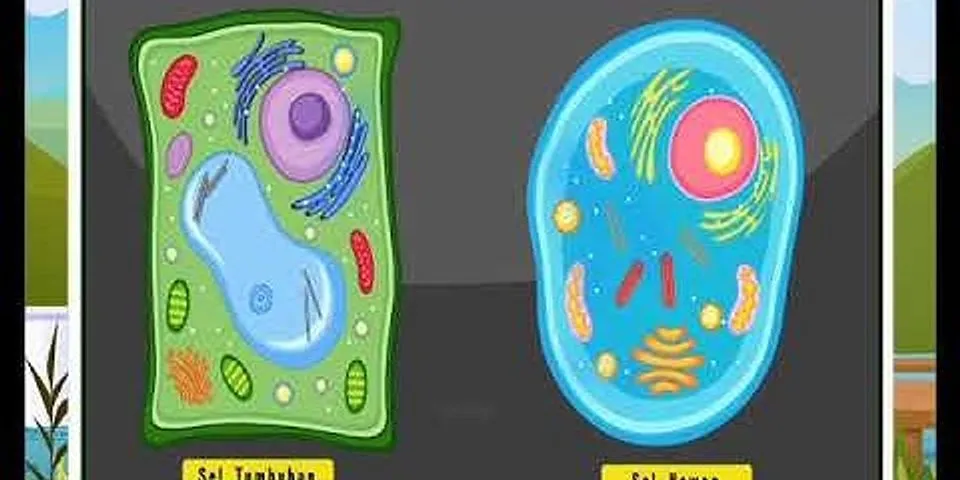 Organel sel apa saja yang hanya terdapat pada sel hewan dan tumbuhan
