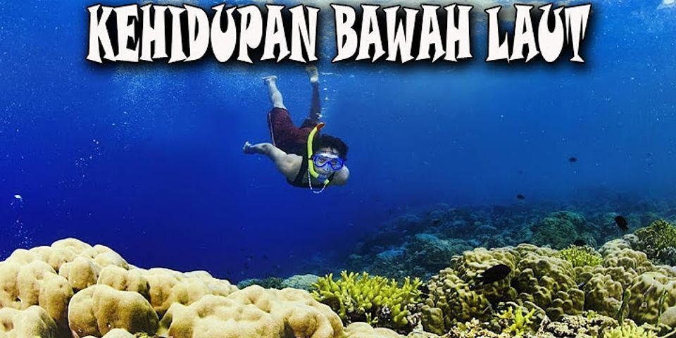 Sebutkan beberapa keindahan bawah laut yang ada di Indonesia dan berada di mana?
